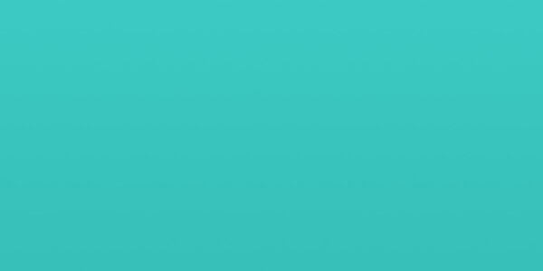 portfolio-placeholder